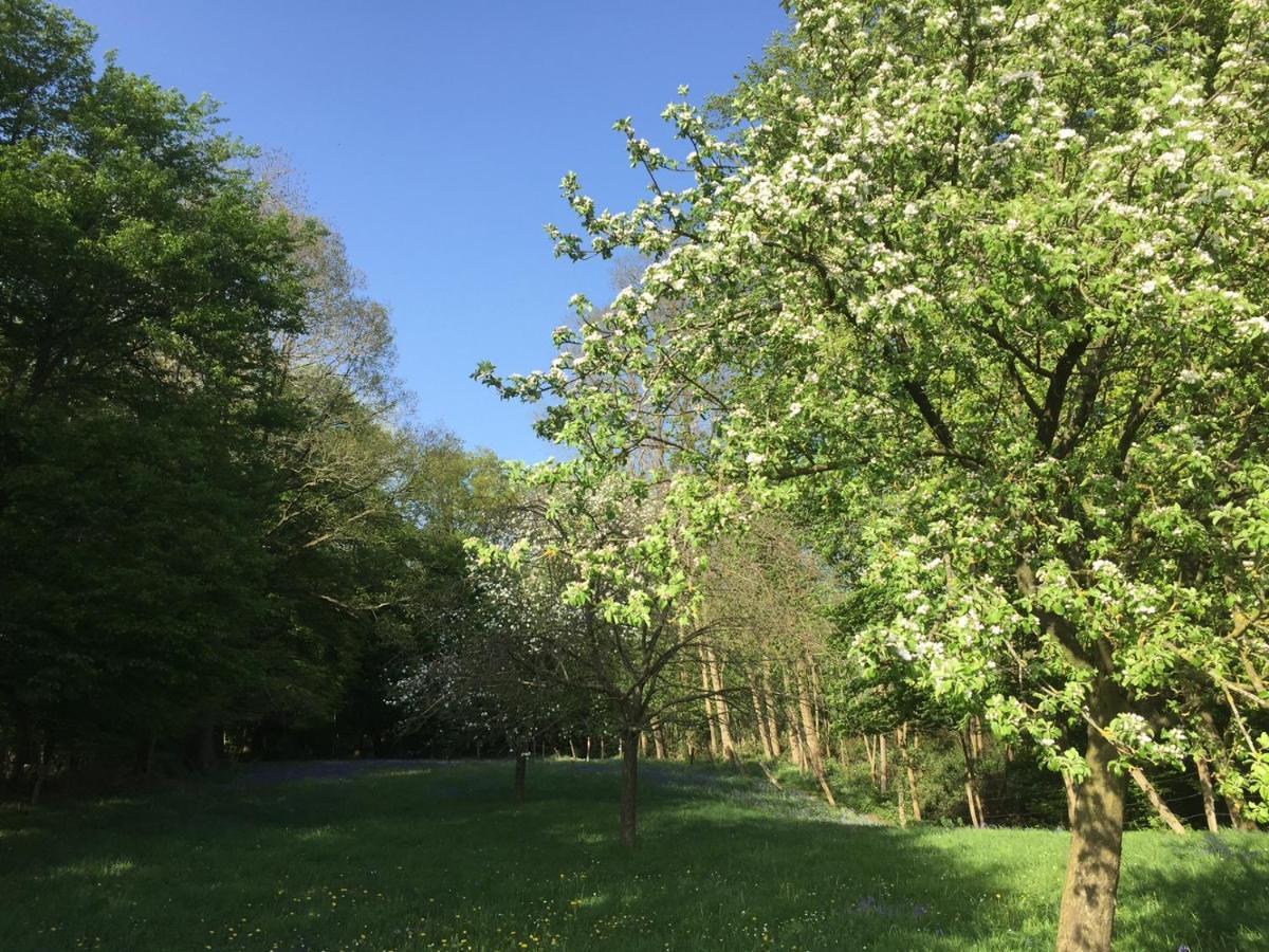 Confortable Duplex Au Coeur De La Campagne Picarde A 1H De Paris Biermont المظهر الخارجي الصورة